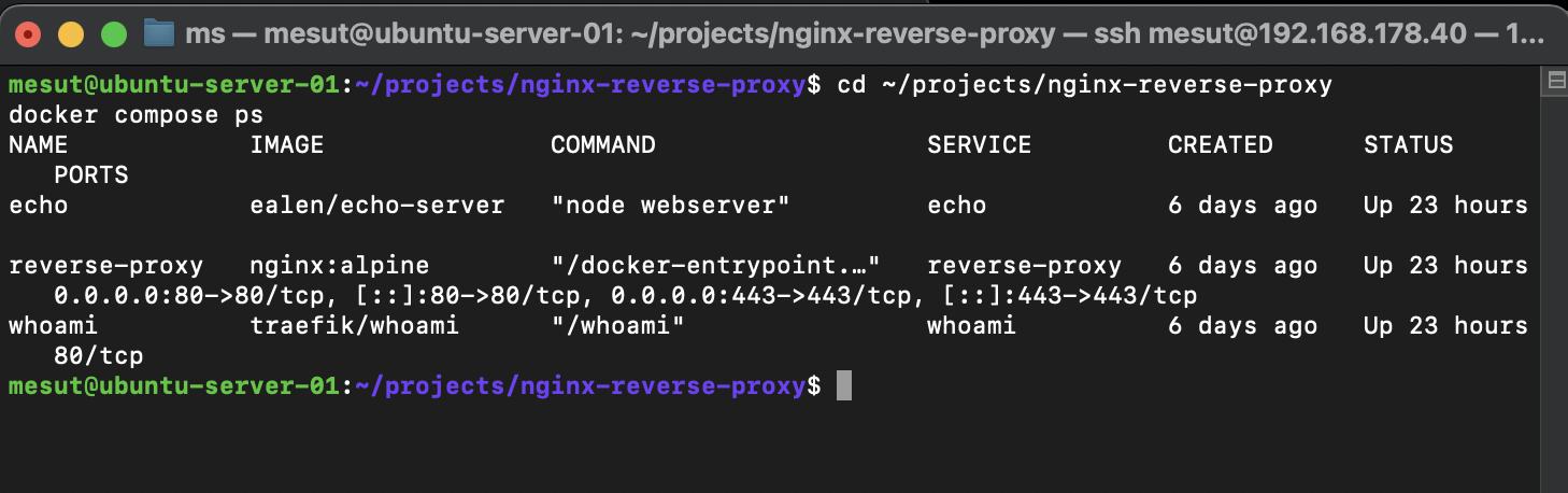 docker compose ps