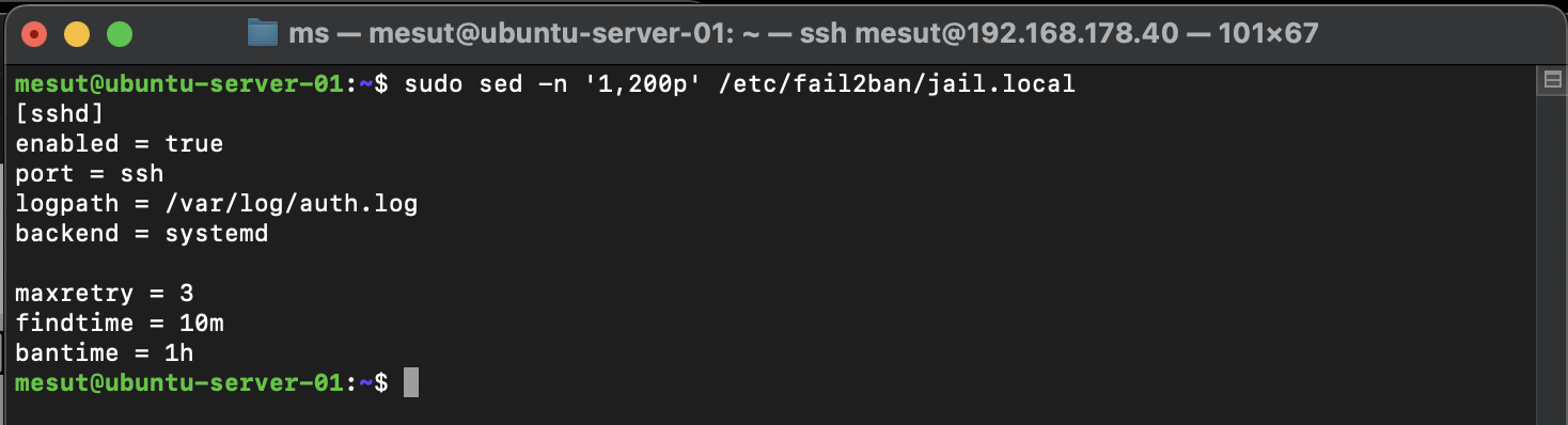 jail.local Konfiguration